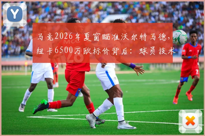 马竞2026年夏窗瞄准沃尔特马德，纽卡6500万欧标价背后：球员技术解析与转会可行性探讨